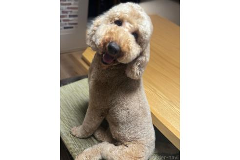 ちゃん1枚目
