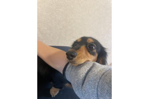 みなみちゃん😍ちゃん1枚目