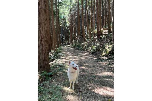 アンジュちゃん1枚目