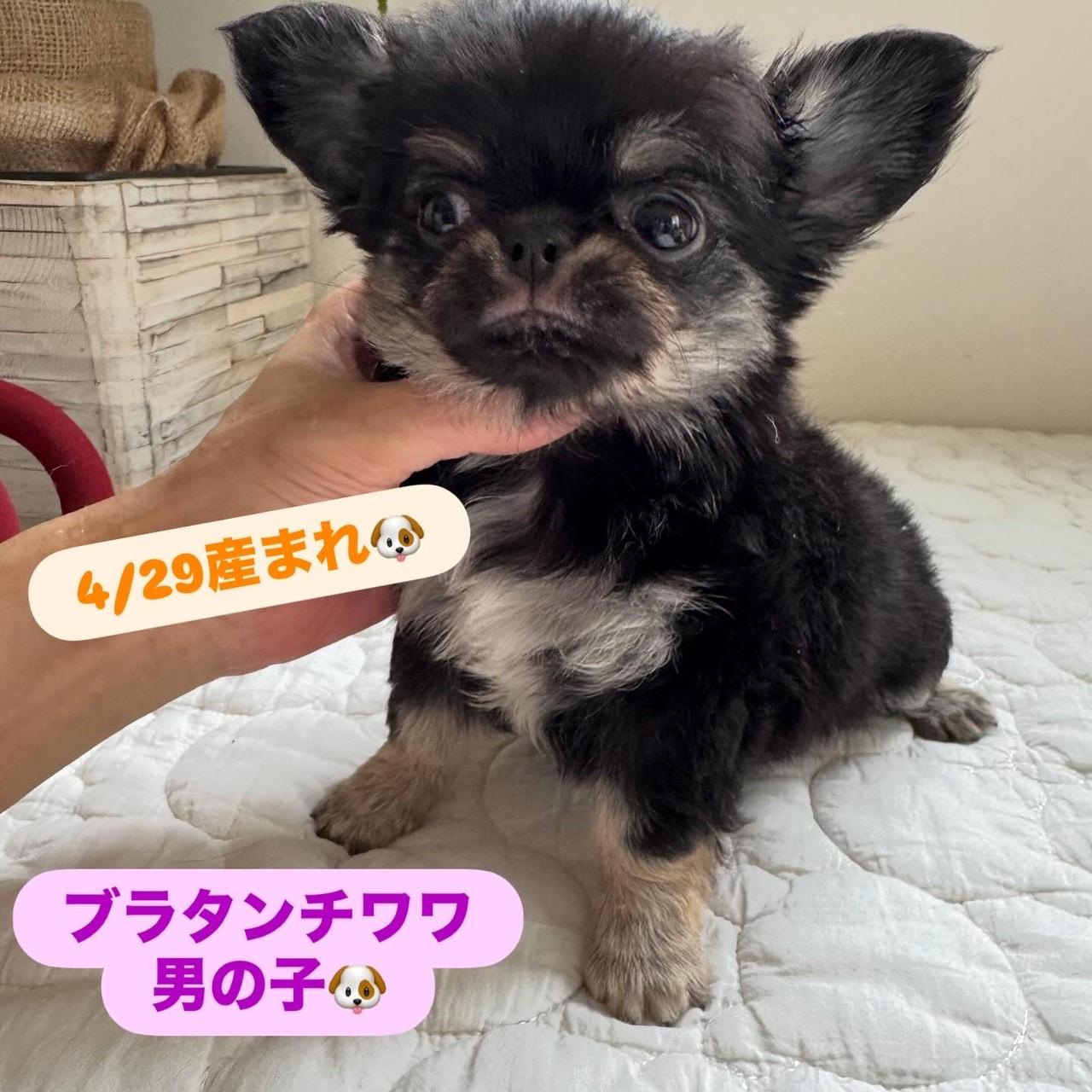 オンライン見学