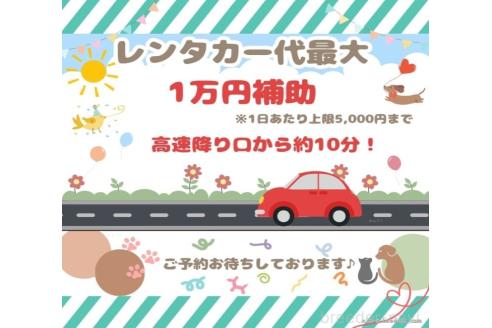 販売中の千葉県のミニチュアダックスフンド(ロングヘアード)-396782の12枚目