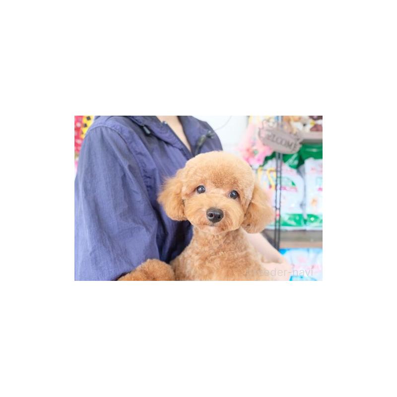 ちゃん1枚目