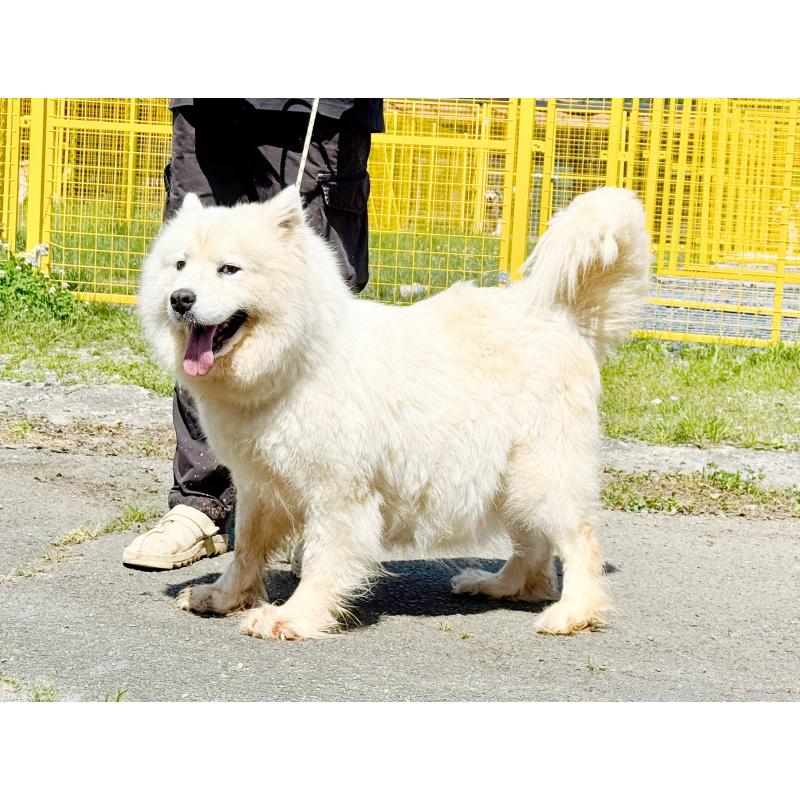 ちゃん1枚目