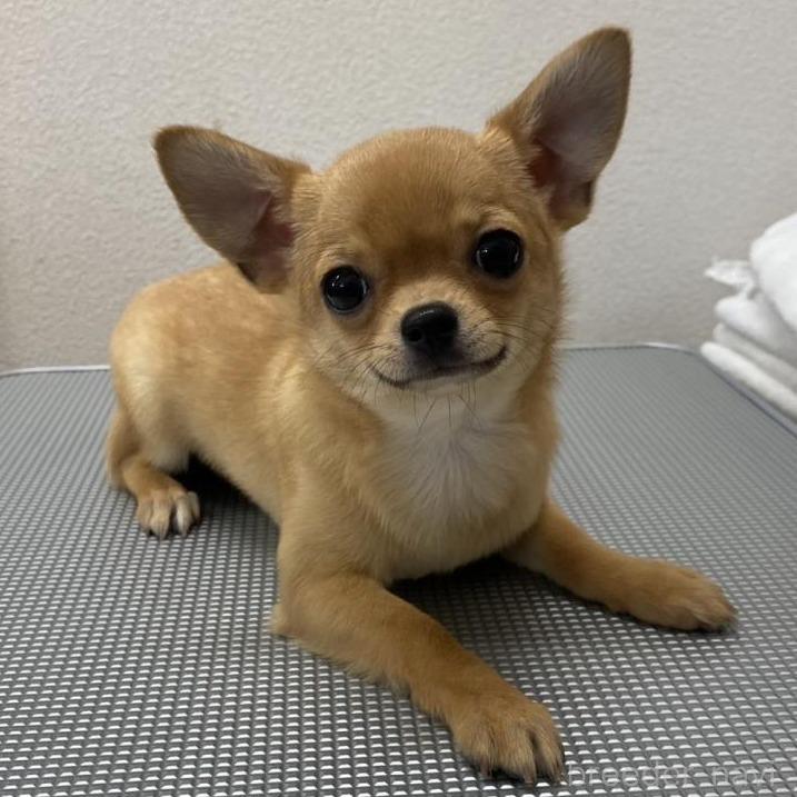 アロエちゃん1枚目