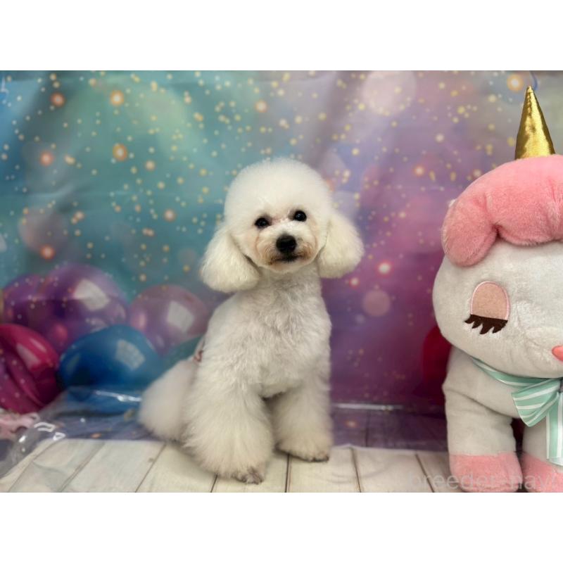 メイトくん1枚目