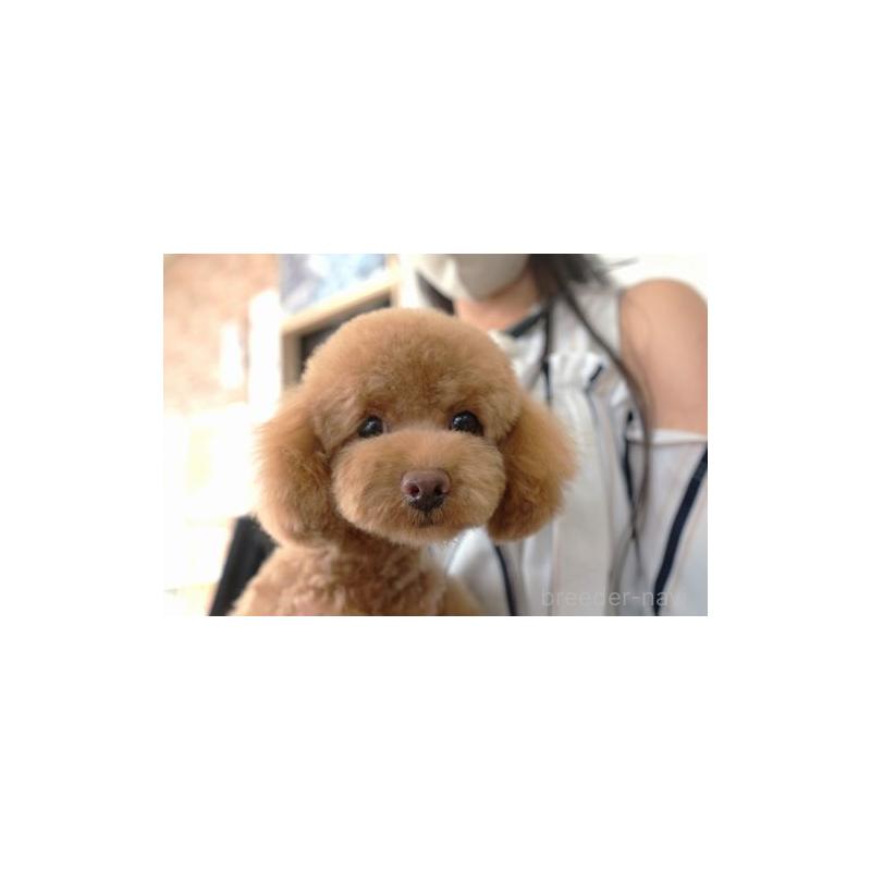 ケネディちゃん1枚目