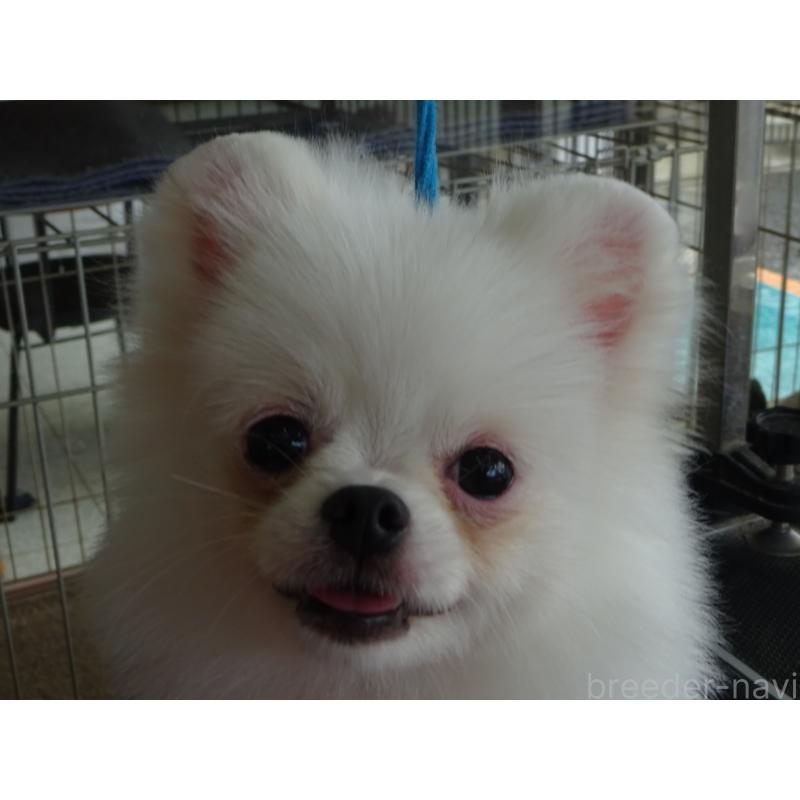 ちゃん1枚目