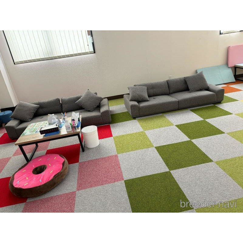 販売中の栃木県のマルプー:マルチーズ×トイプードル-398480の9枚目