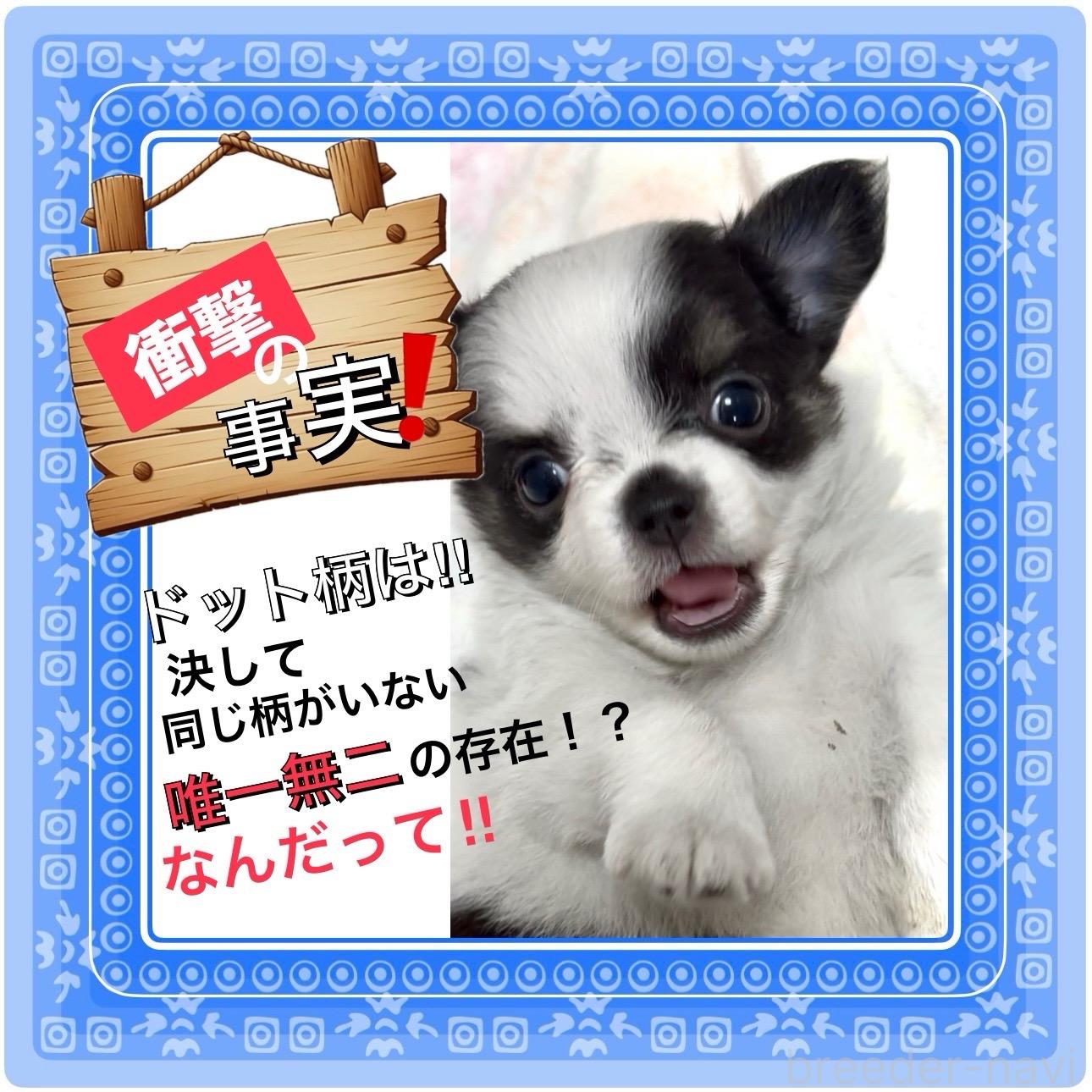 オンライン見学