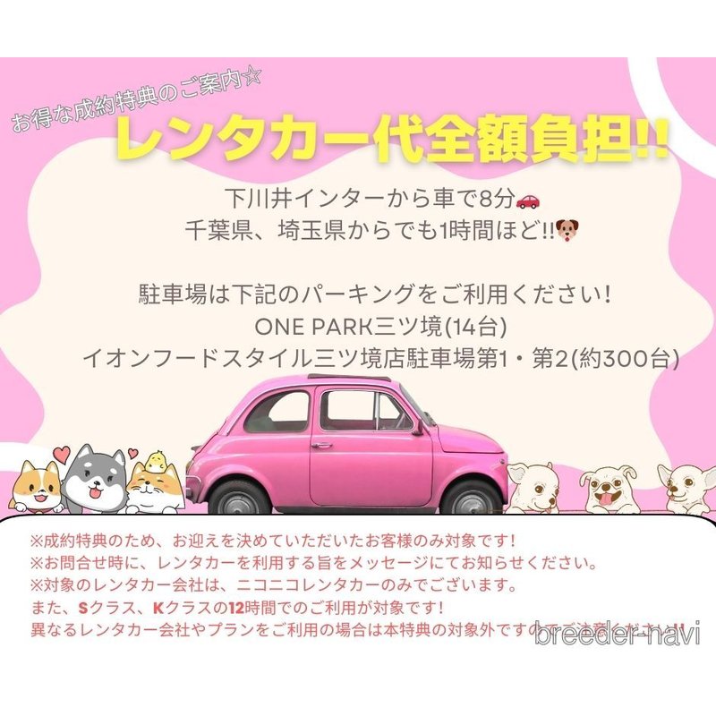 販売中の神奈川県のトイプードル-398674の15枚目