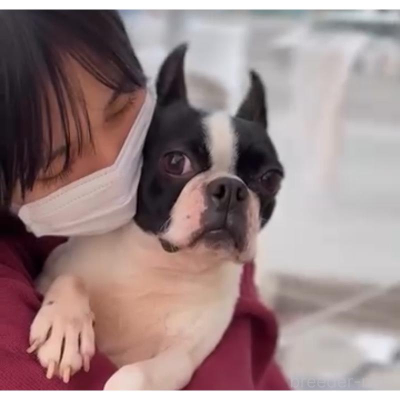ラッキーちゃん1枚目