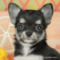 オンライン見学