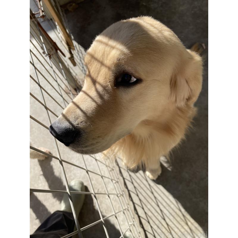 テオくん1枚目