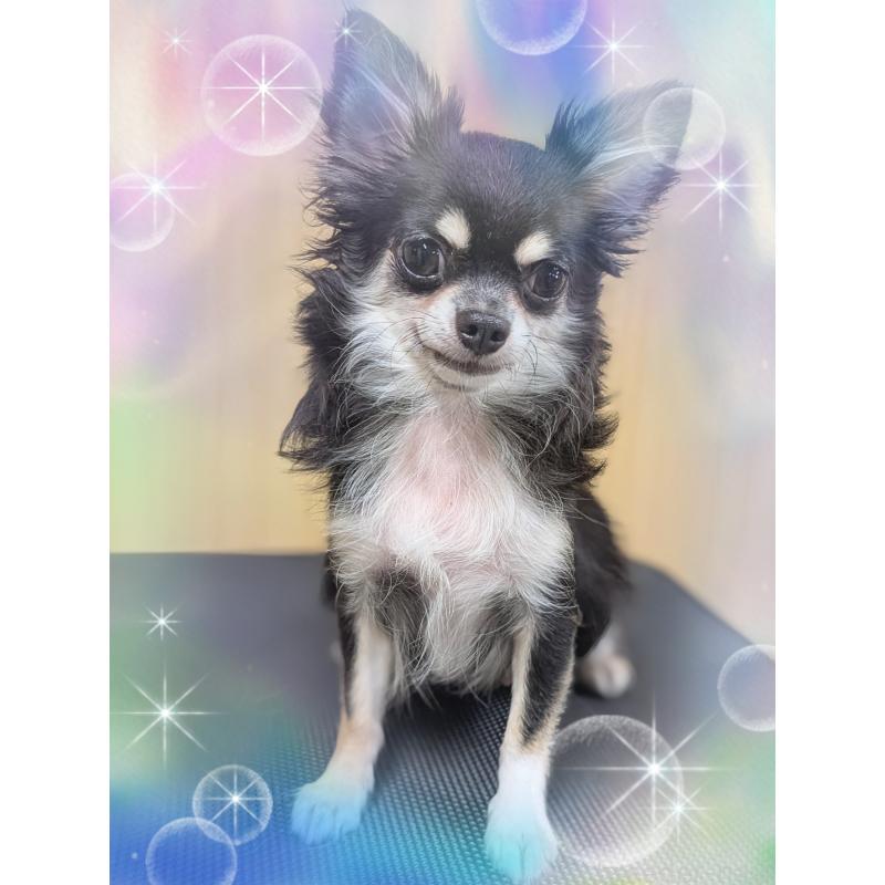 あちぇちゃん1枚目