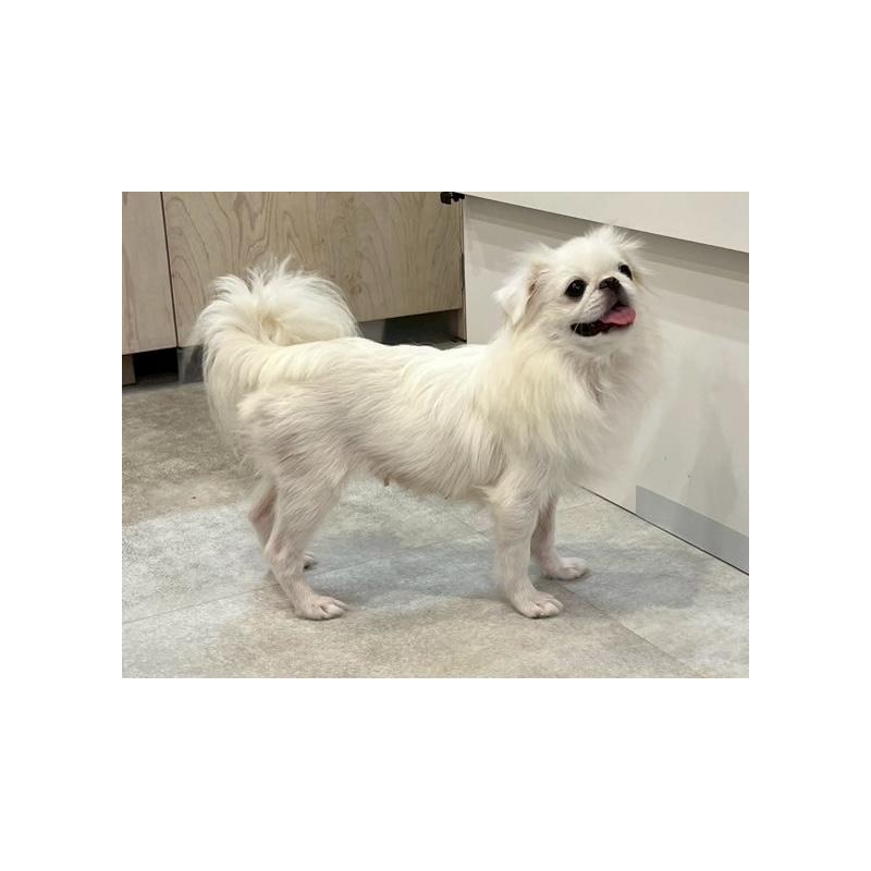 ペチちゃん1枚目
