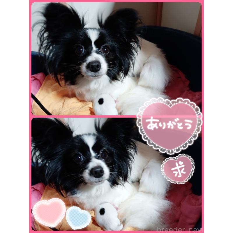 ゆりちゃん1枚目