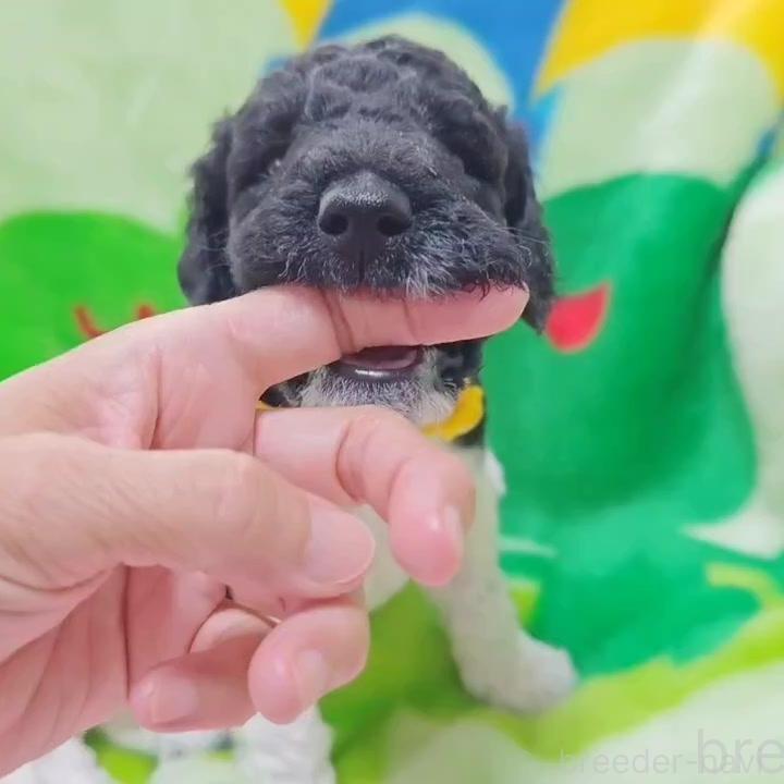 オンライン見学