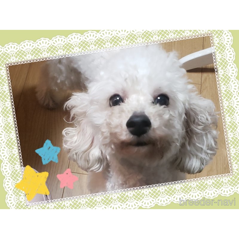 ✨Ｅちゃん✨ちゃん1枚目