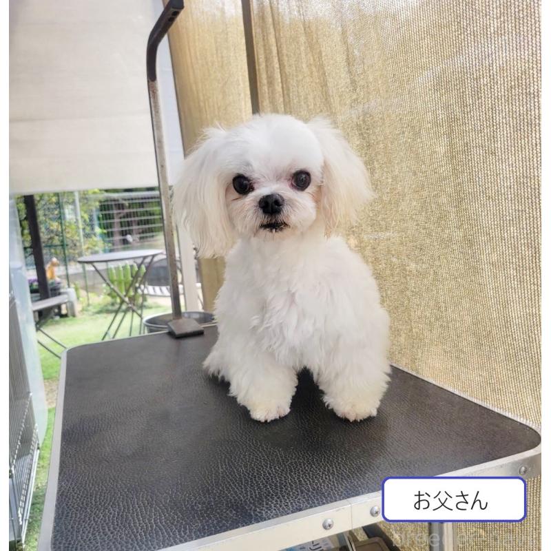アダムくん1枚目