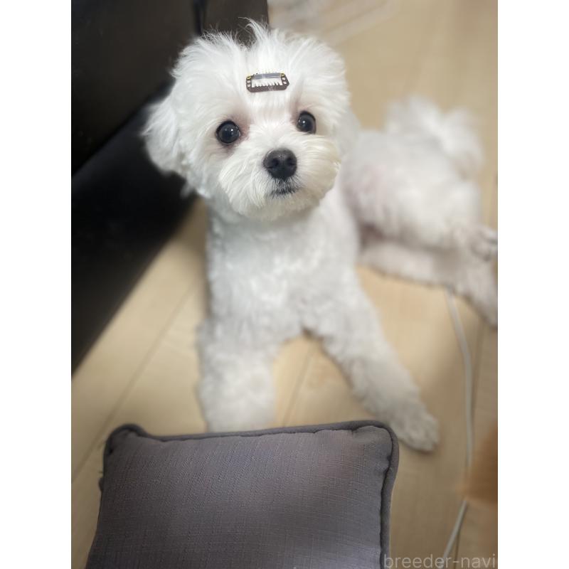 小太郎くん1枚目