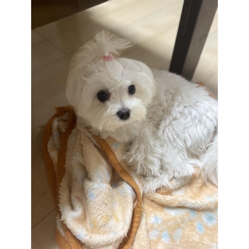 小太郎くん1枚目