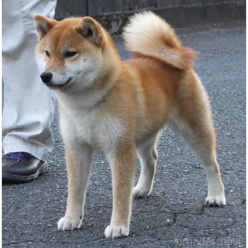 せりな姫ちゃん1枚目