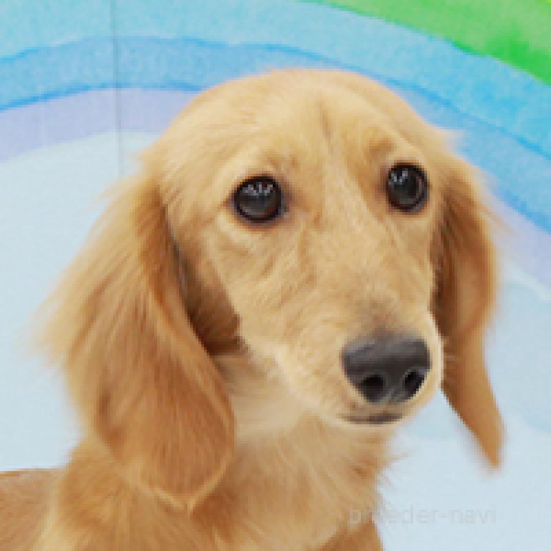 いくらちゃん1枚目