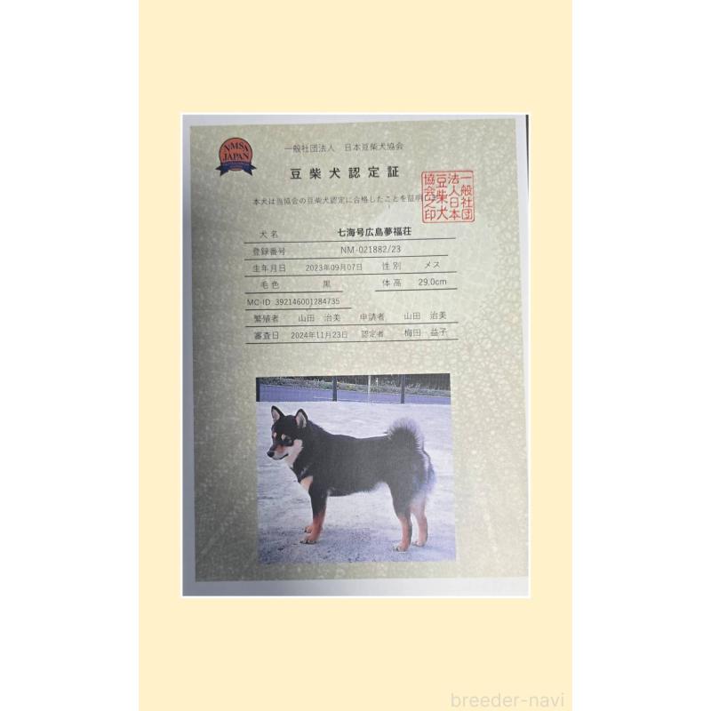 七海ちゃん1枚目