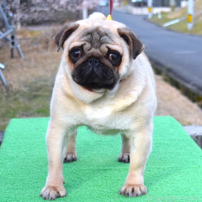 ちゃん1枚目