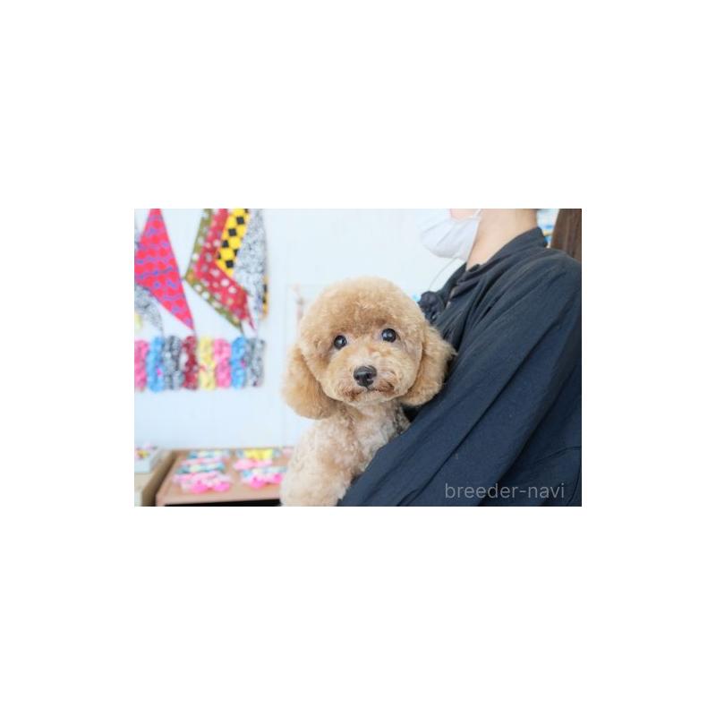 ネロちゃん1枚目