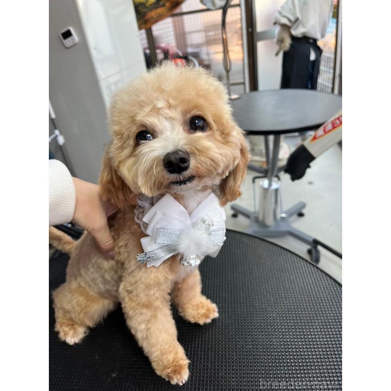 にこちゃん1枚目