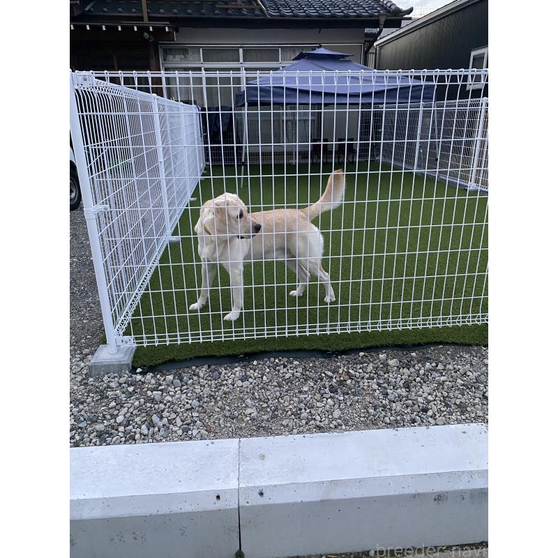 ルークくん1枚目