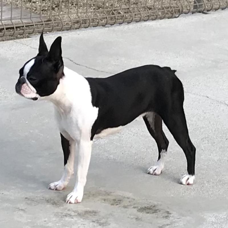 ちゃん1枚目