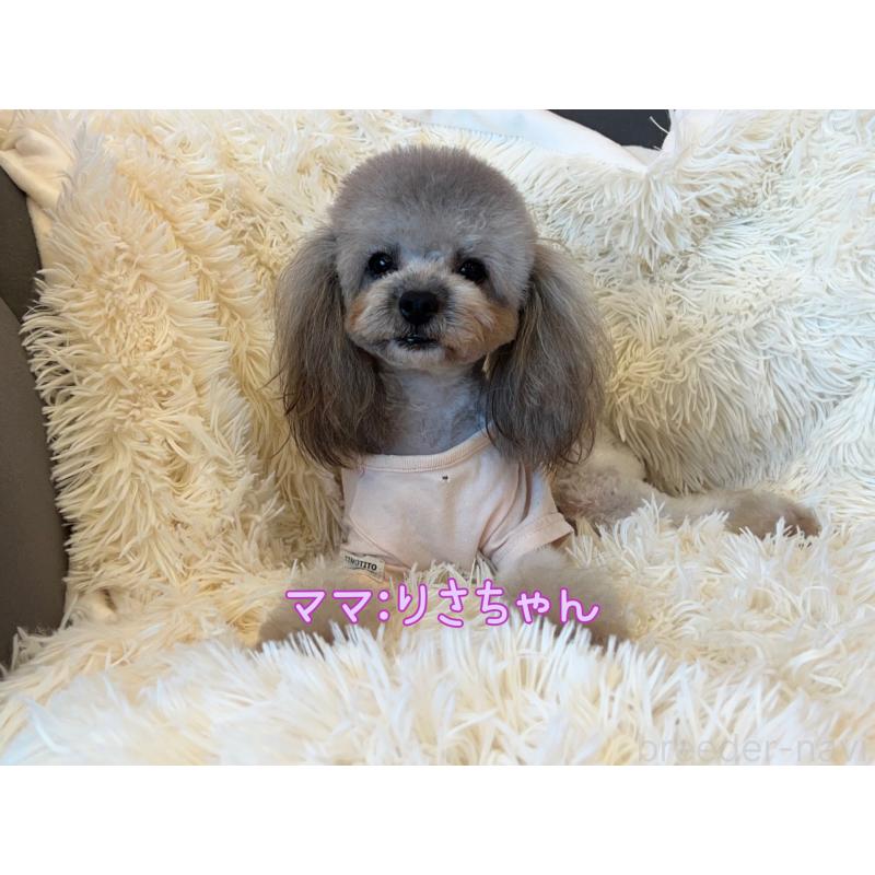 りさちゃん1枚目