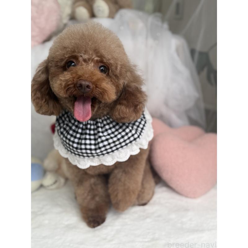 ちゃん1枚目