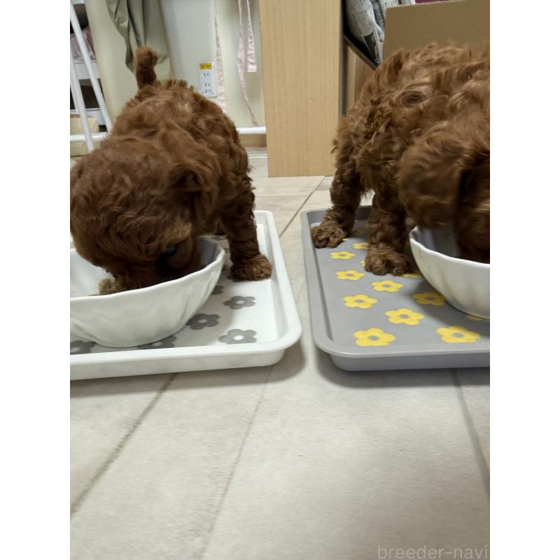ちゃん1枚目