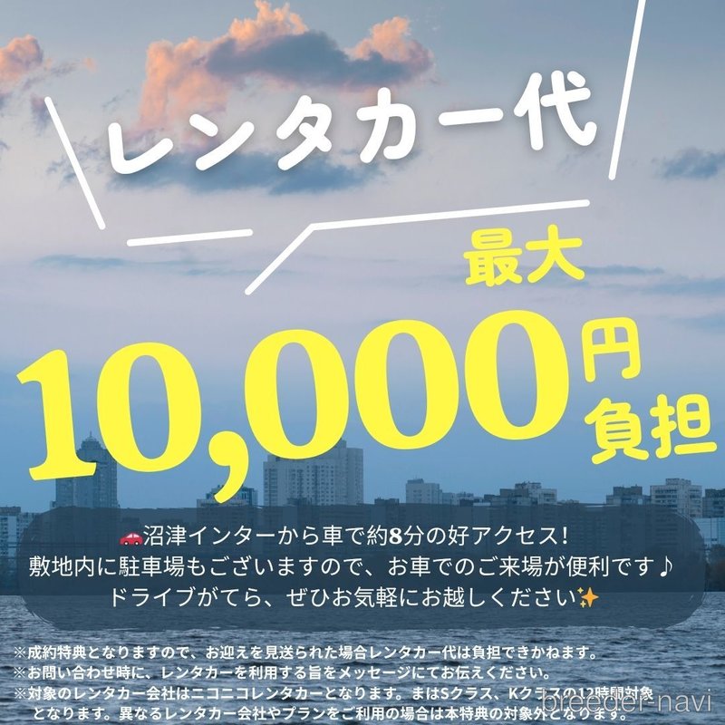 販売中の静岡県のポメラニアン-402853の4枚目