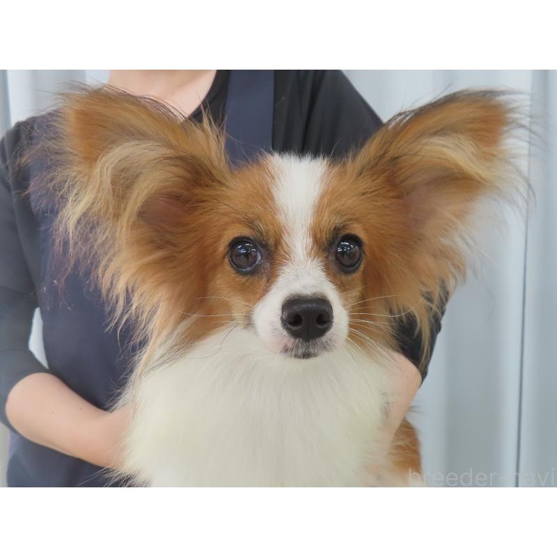アーリーちゃん1枚目