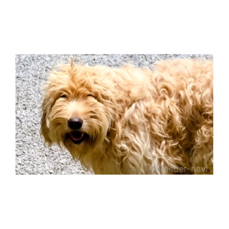 おじょうちゃん1枚目