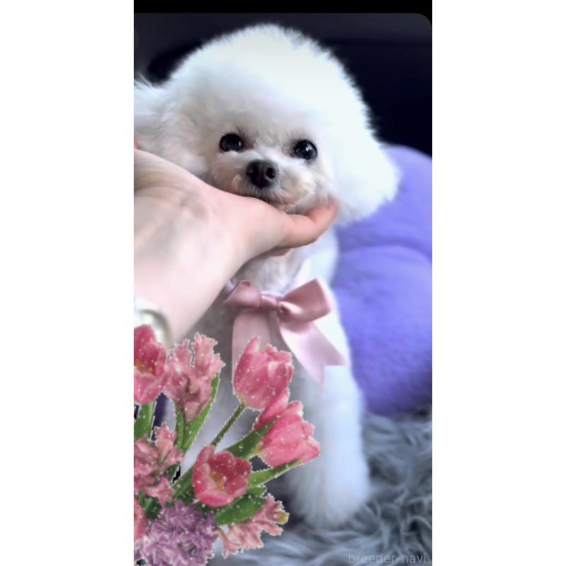 莉音ちゃん1枚目