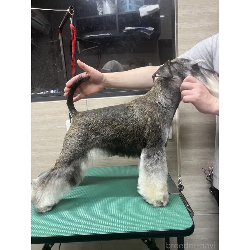 デルタくん1枚目