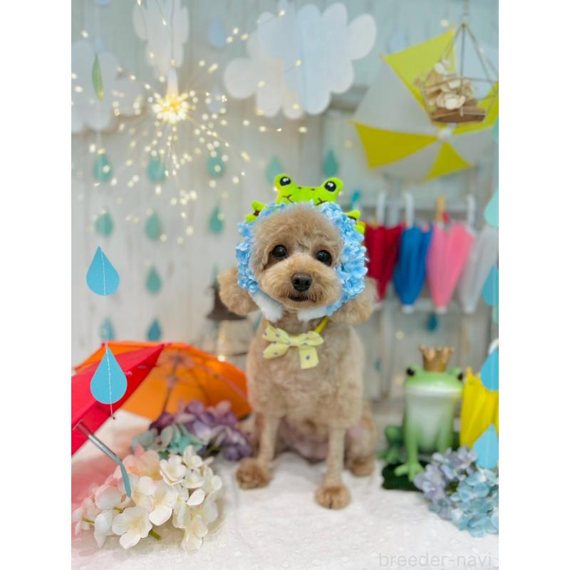 ちゃん1枚目