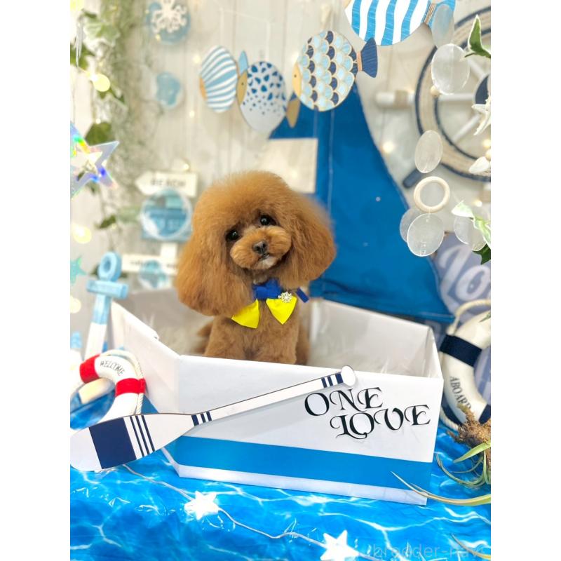 ちゃん1枚目