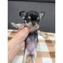 オンライン見学
