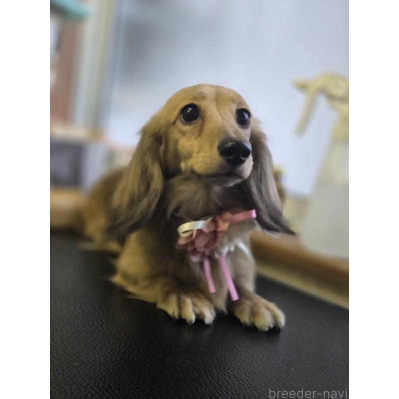 もえちゃんちゃん1枚目