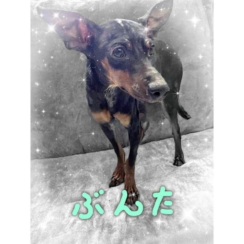 ぶんたくん1枚目