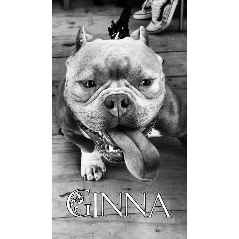 Ginnaちゃん1枚目