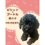 オンライン見学