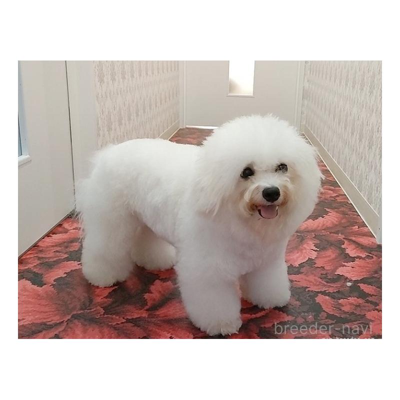 しょうこちゃん1枚目