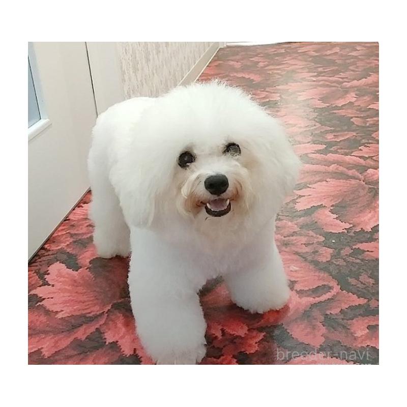 しょうこちゃん1枚目